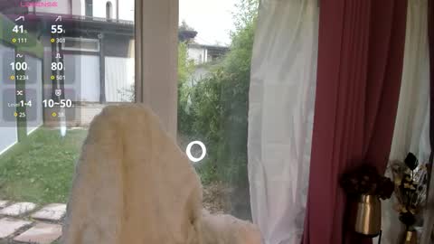 Patricia online show from October 14, 2025, 6:58 am