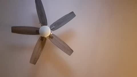 patrick247288 online show from November 16, 2025, 6:30 am