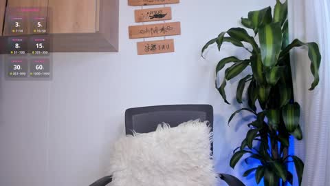 Snapshot of paulaa_333 chatting on January 7, 2025, 5:09 pm paula online show from January 7, 2025, 5:09 pm