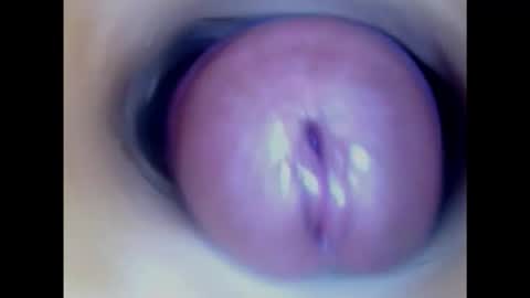 Paula 18 Aninhos online show from January 23, 2025, 1:51 am