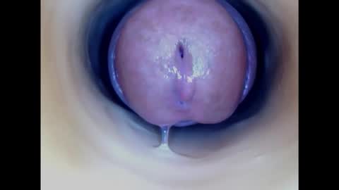 Paula 18 Aninhos online show from January 24, 2025, 9:15 pm