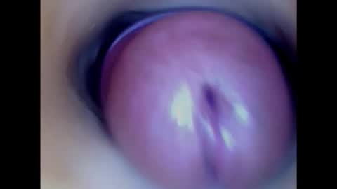 Paula 18 Aninhos online show from February 1, 2025, 2:34 pm