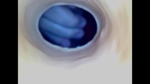 Paula 18 Aninhos online show from February 1, 2025, 7:44 pm