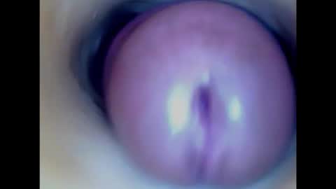 Paula 18 Aninhos online show from February 14, 2026, 3:31 pm