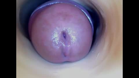 Paula 18 Aninhos online show from April 1, 2026, 3:53 pm