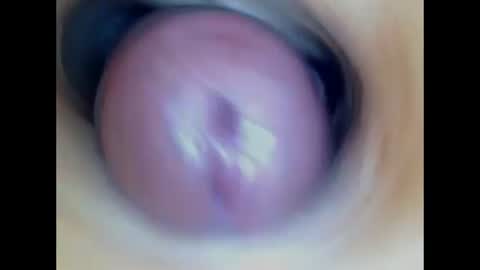 Snapshot of paulainoscente chatting on July 7, 2026, 1:59 pm Paula 18 Aninhos online show from July 7, 2026, 1:59 pm