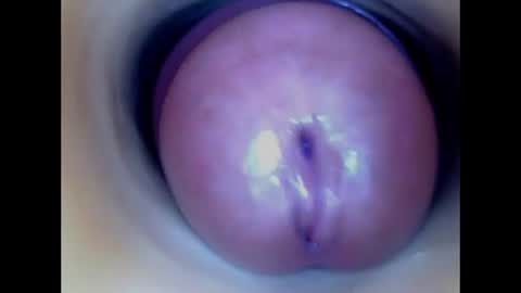 Snapshot of paulainoscente chatting on July 8, 2026, 2:05 am Paula 18 Aninhos online show from July 8, 2026, 2:05 am
