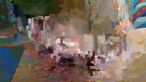 paulleroy online show from December 19, 2024, 5:08 pm