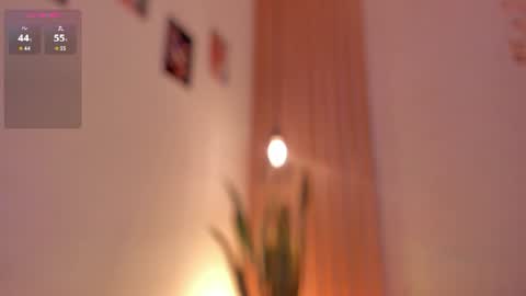 Snapshot of pawggirl18 chatting on June 19, 2026, 1:48 pm Dani online show from June 19, 2026, 1:48 pm