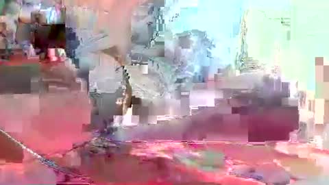 Coco channel  online show from January 10, 2025, 8:29 am