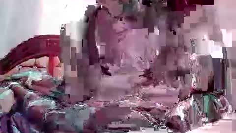 Coco channel  online show from January 14, 2025, 7:06 am