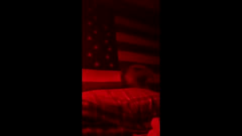 pbtalentscout online show from March 15, 2026, 4:40 am