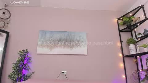 Snapshot of peachbrii chatting on May 12, 2026, 12:46 pm Briana online show from May 12, 2026, 12:46 pm