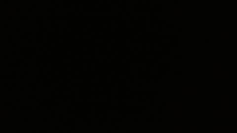 pearlatin online show from January 22, 2025, 2:48 am