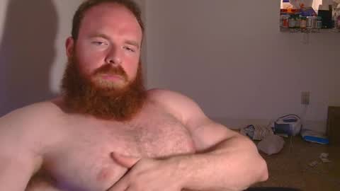 Pec inspector online show from February 3, 2025, 3:42 am