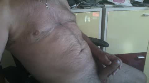 Snapshot of pegaso1000 chatting on August 3, 2026, 7:40 am pegaso1000 online show from August 3, 2026, 7:40 am