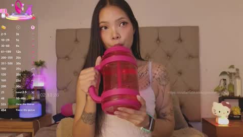 Snapshot of peisinoe_____ chatting on February 20, 2026, 12:29 am Kris online show from February 20, 2026, 12:29 am