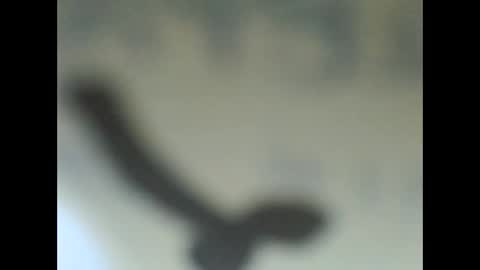 penetrillo online show from September 23, 2025, 11:24 am