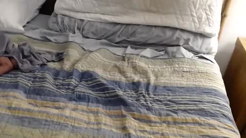 Snapshot of perdidobch chatting on December 13, 2024, 1:44 pm perdidobch online show from December 13, 2024, 1:44 pm