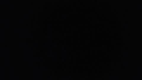 lecia online show from October 31, 2025, 8:48 am