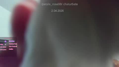 Snapshot of petals_rose99 chatting on April 1, 2026, 9:56 pm Rose online show from April 1, 2026, 9:56 pm