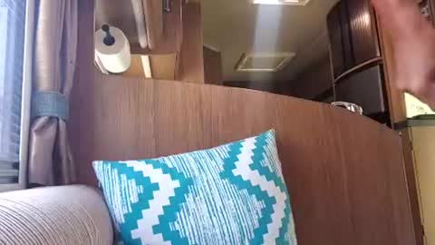 pete_le_meat online show from July 18, 2026, 10:52 am