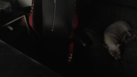 peterbeater2 online show from February 21, 2025, 7:45 am