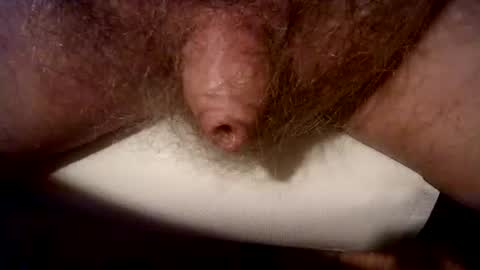 peterpeteropoulos online show from March 3, 2025, 8:00 pm