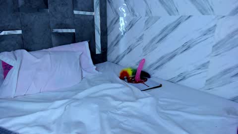 petite_amor online show from December 9, 2024, 10:30 pm