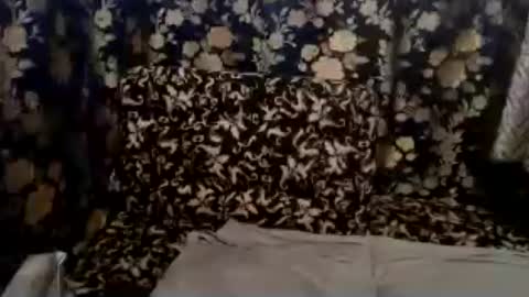 Snapshot of petiteasian_boy chatting on July 13, 2026, 7:22 am cute vir online show from July 13, 2026, 7:22 am