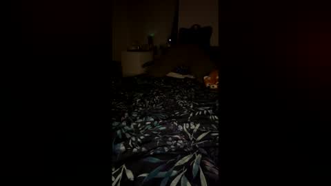 PetiteCurves online show from February 12, 2026, 11:33 pm