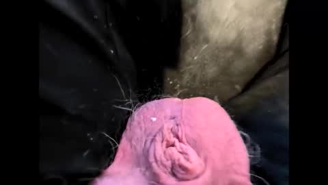 Snapshot of petrol63102 chatting on February 20, 2026, 1:22 pm petrol63102 online show from February 20, 2026, 1:22 pm