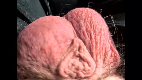 Snapshot of petrol63102 chatting on February 22, 2026, 1:09 pm petrol63102 online show from February 22, 2026, 1:09 pm