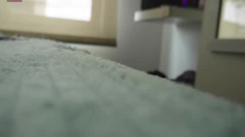 Pettercat online show from January 5, 2025, 6:24 pm