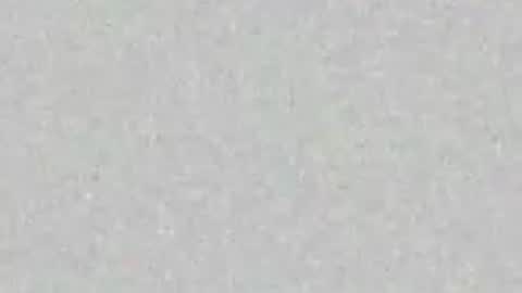 peytonlegion online show from April 28, 2026, 4:50 am