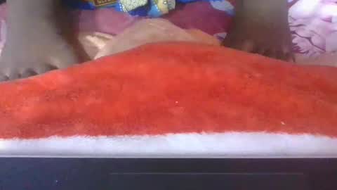 phania185885 online show from April 16, 2026, 5:03 pm