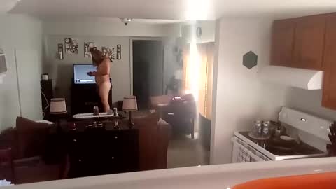 Phinfan online show from February 23, 2025, 8:44 pm