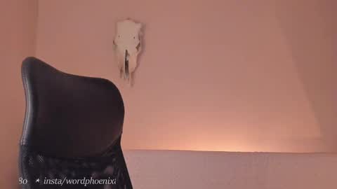 Snapshot of phoenixx_x chatting on December 28, 2024, 10:02 pm phoenixx_x online show from December 28, 2024, 10:02 pm