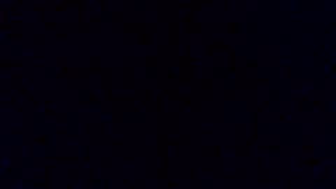 Snapshot of pickledalivemrf chatting on February 19, 2026, 3:46 am pickledalivemrf online show from February 19, 2026, 3:46 am