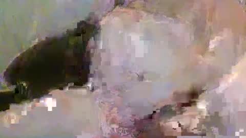 Pickup844 online show from January 4, 2025, 8:39 am