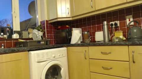 piercedcock069 online show from January 13, 2026, 5:29 pm