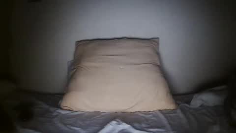 Snapshot of pieslatinos chatting on January 31, 2025, 4:14 am pieslatinos online show from January 31, 2025, 4:14 am