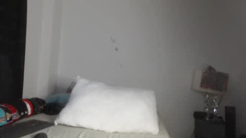 Snapshot of pikoro_gomez chatting on March 5, 2025, 11:49 pm pikoro_gomez online show from March 5, 2025, 11:49 pm