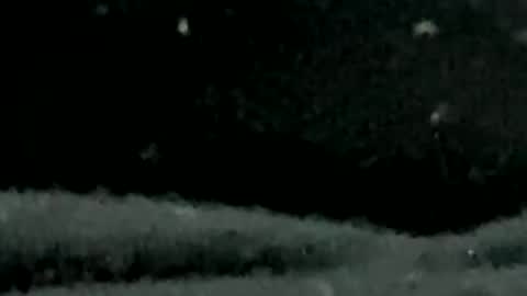 Snapshot of pilura chatting on July 19, 2026, 7:34 am pilura online show from July 19, 2026, 7:34 am