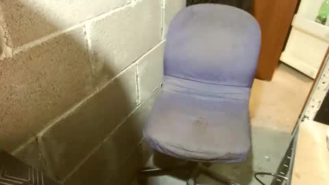 pippetta1 online show from November 26, 2025, 9:54 am