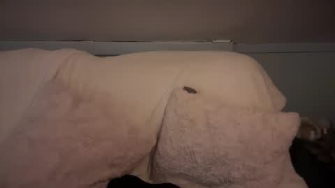 Snapshot of pirdybirdyxo chatting on March 2, 2025, 6:37 am pirdybirdyxo online show from March 2, 2025, 6:37 am