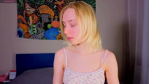 pis_sos online show from April 20, 2026, 12:41 pm