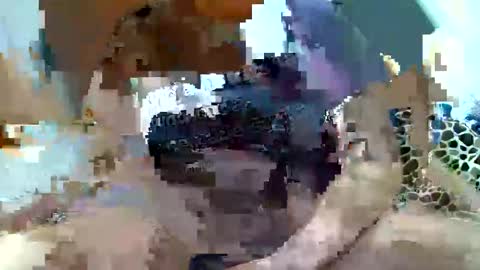 pislezg1 online show from February 7, 2025, 11:45 pm