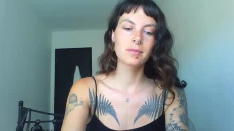 Snapshot of pixiecatfairy chatting on September 12, 2025, 12:16 pm pixiecatfairy online show from September 12, 2025, 12:16 pm