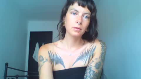 Snapshot of pixiecatfairy chatting on September 17, 2025, 9:44 am pixiecatfairy online show from September 17, 2025, 9:44 am